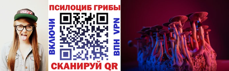 Псилоцибиновые грибы мицелий  Купить закладки  Муром 